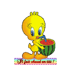 adresse msn chaud